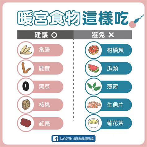 幫助受孕|備孕吃什麼？什麼不可以吃？養精、養卵食物清單